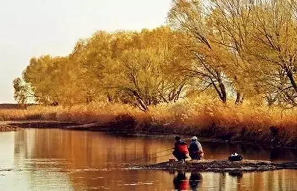 1602151279755492.png 微信圖片_20201008155629.png